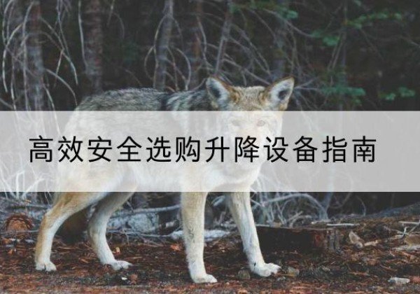 安阳升降货梯厂家推荐-*安全选购升降设备指南