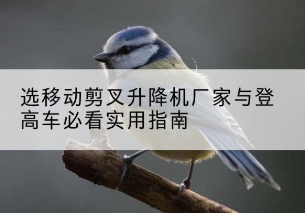 安阳电动升降机厂家-选移动剪叉升降机厂家与登高车必看实用指南