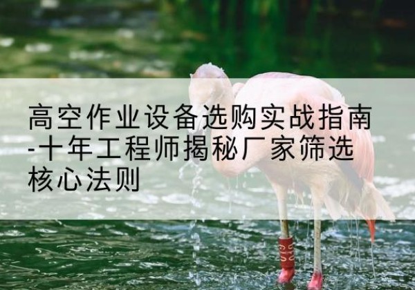 安阳剪叉式升降机厂家-高空作业设备选购实战指南-十年工程师揭秘厂家筛选核心法则